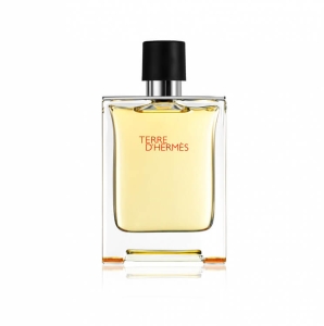 Hermes - Terre d'Hermes 100 ml Edt TESTER
